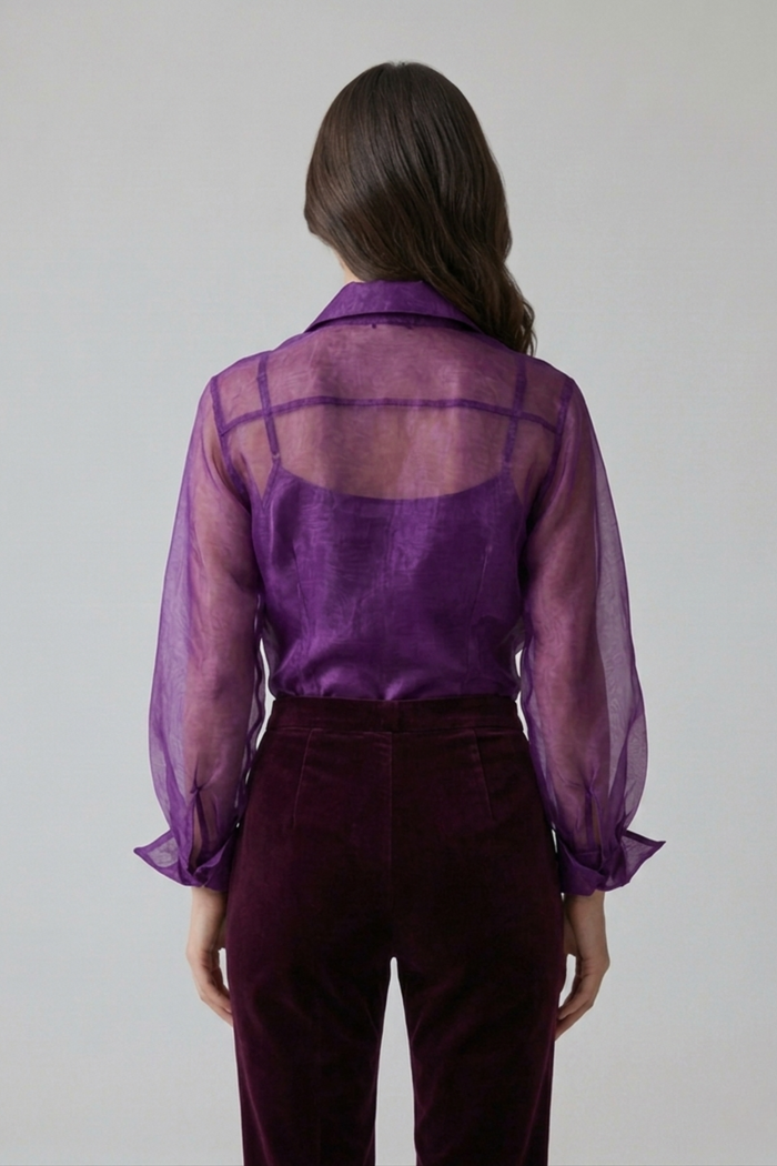 Blusa Silvana de Organza con Top de Seda