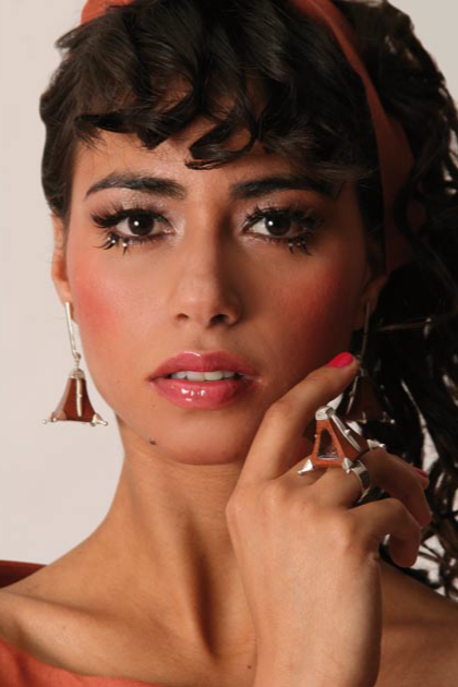 Anillo Estribo